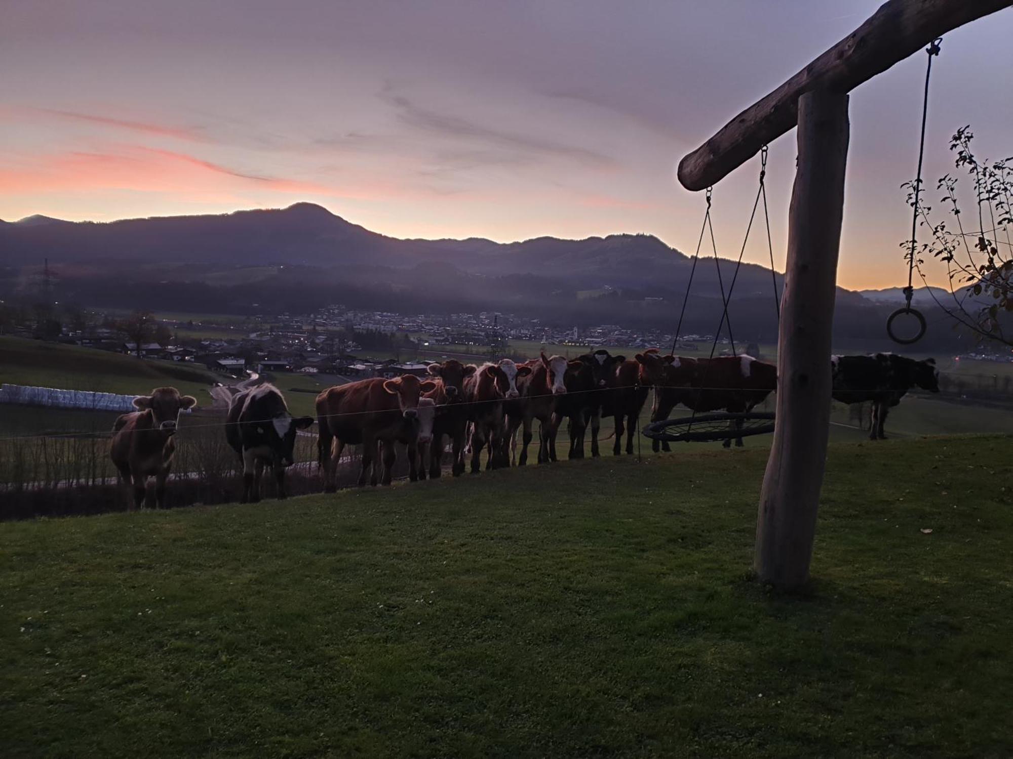 Griesbachhof-Wilder Kaiser Oberndorf in Tirol Buitenkant foto