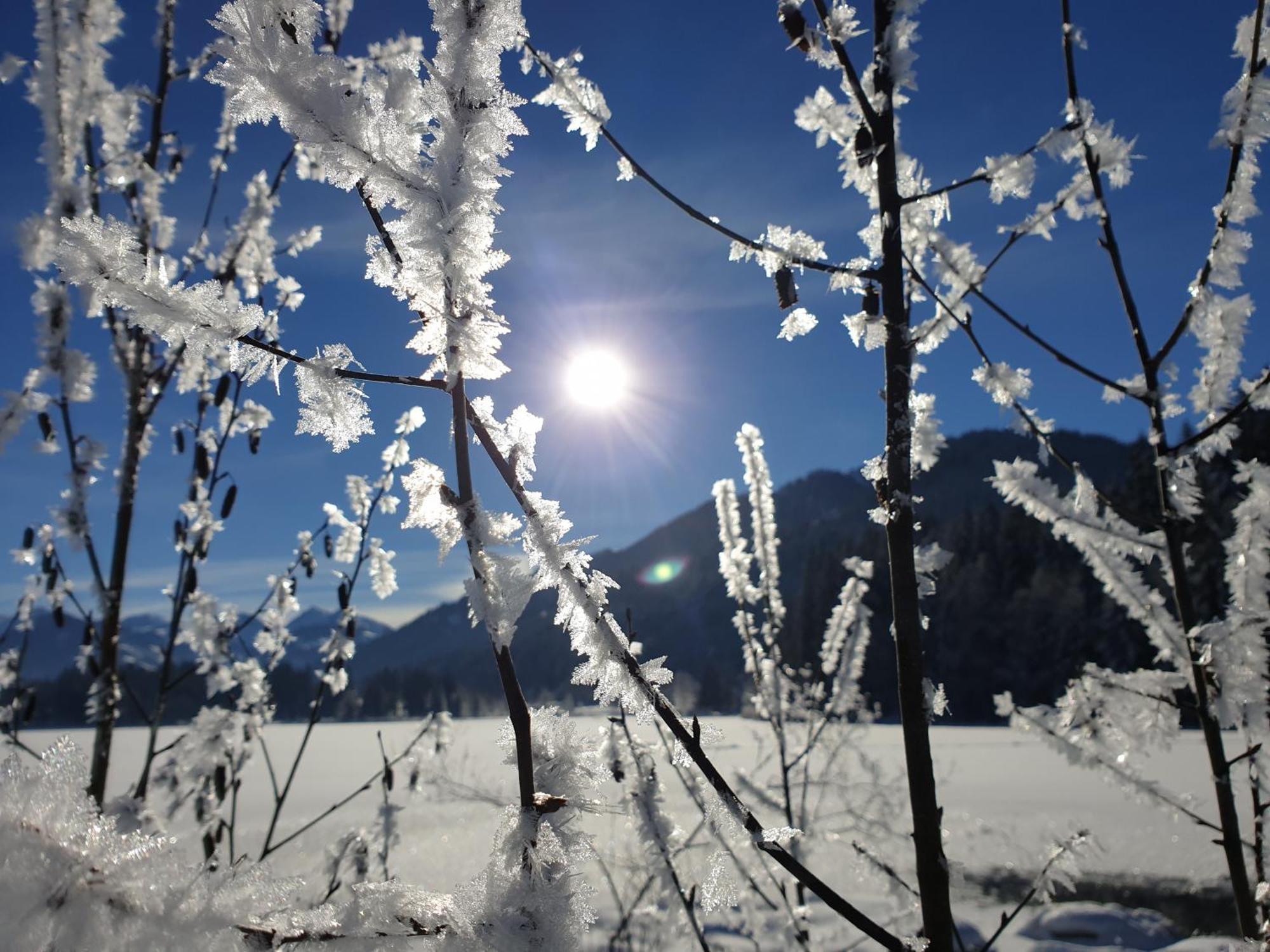 Griesbachhof-Wilder Kaiser Oberndorf in Tirol Buitenkant foto